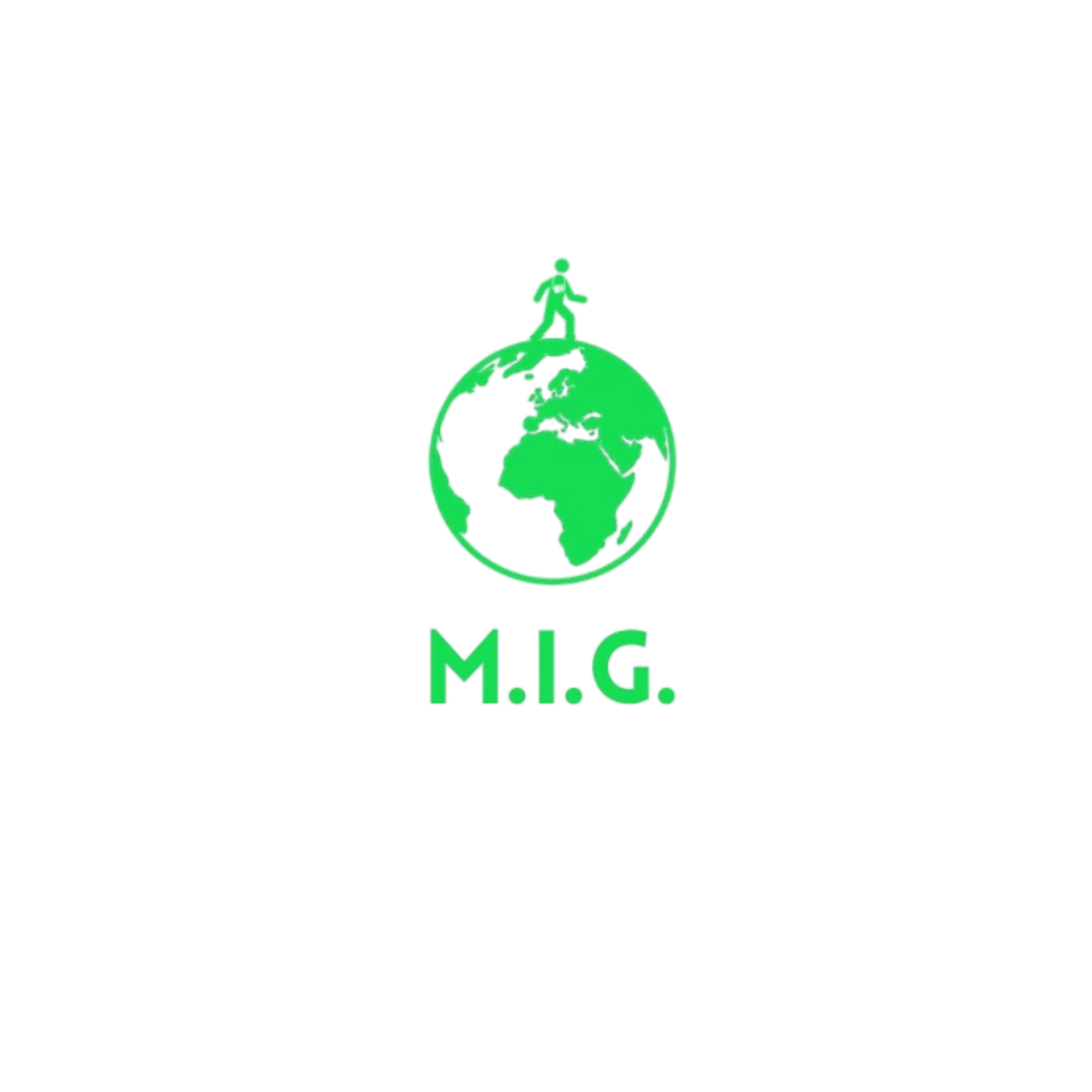 M.I.G. Solutions LLC